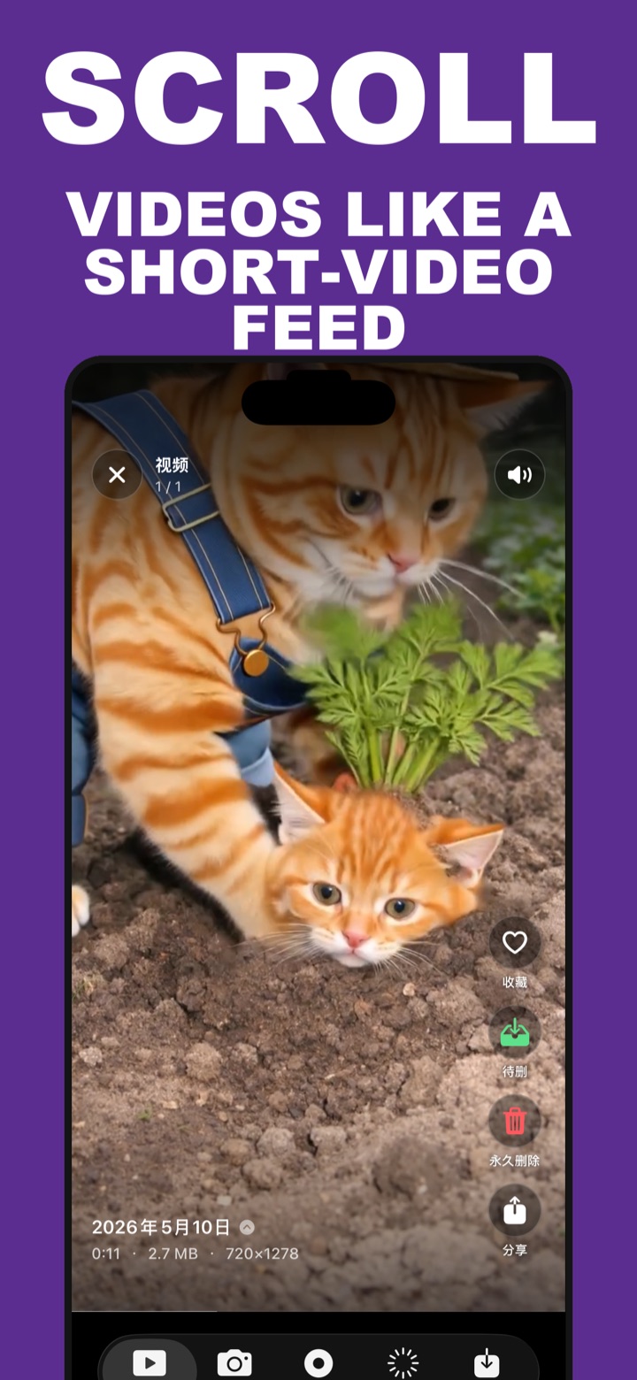 PicKeeper 全屏视频浏览界面
